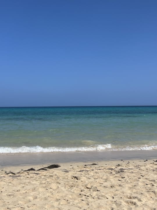 Strand Iberostar Selection Fuerteventura Palace