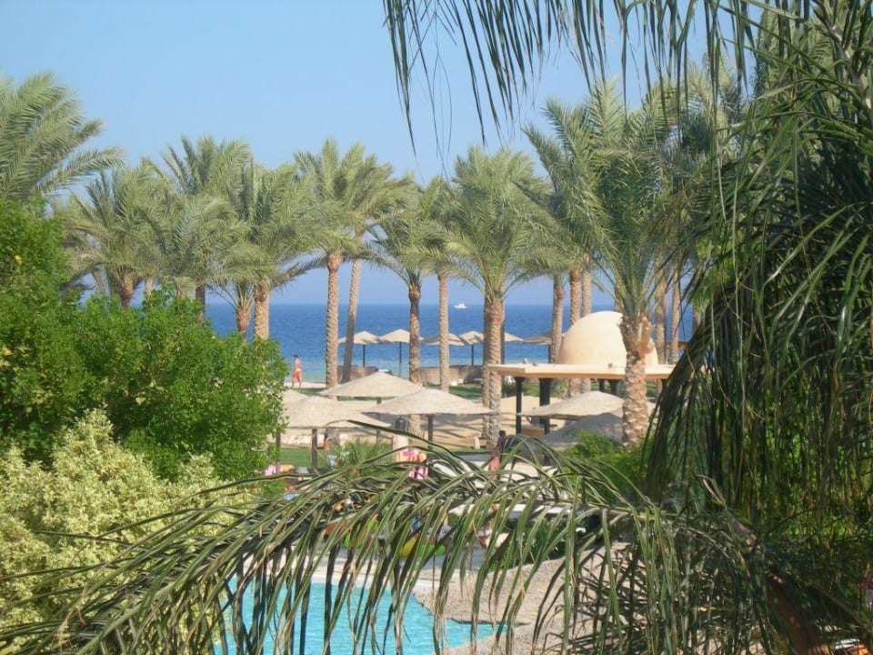 Blick vom Balkon (rechts) Grand Makadi