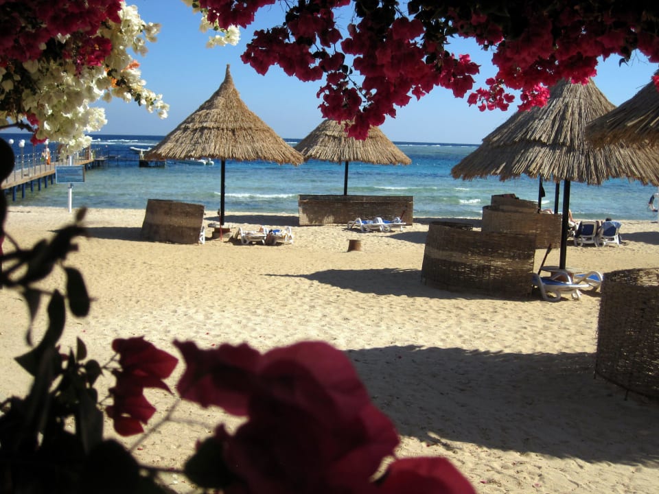 Am Privatstrand Mövenpick Resort El Quseir
