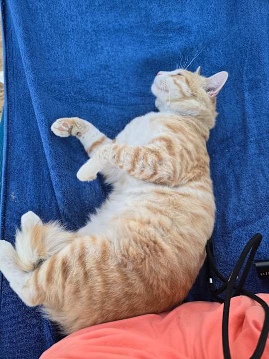 Zimmer Bella Vista Resort Hurghada