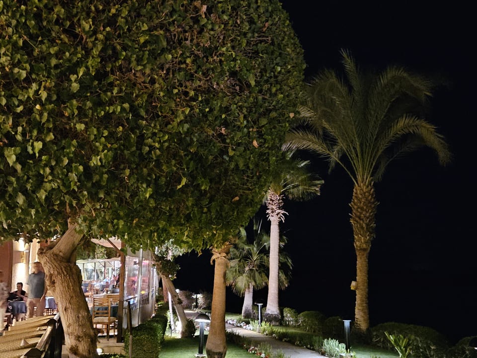 Ausblick Hotel Three Corners Ocean View prestige - Adults only