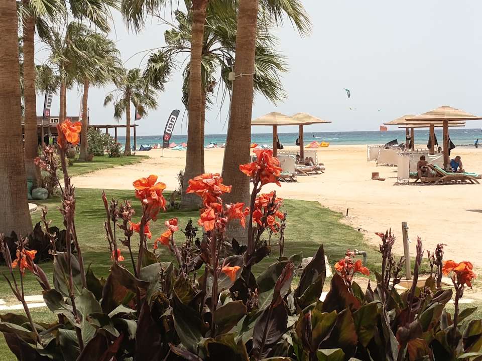 Außenansicht Shams Prestige Abu Soma-Adults Only