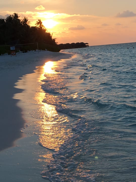 Strand Fihalhohi Maldives