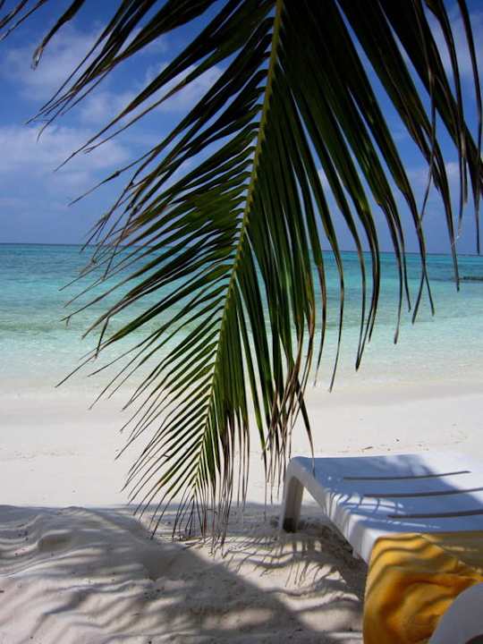 Impressionen Summer Island Maldives