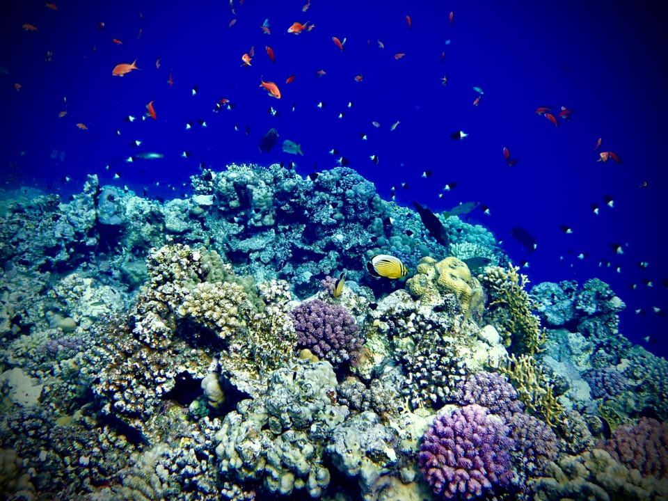 Sport & Freizeit Three Corners Happy Life Beach Resort