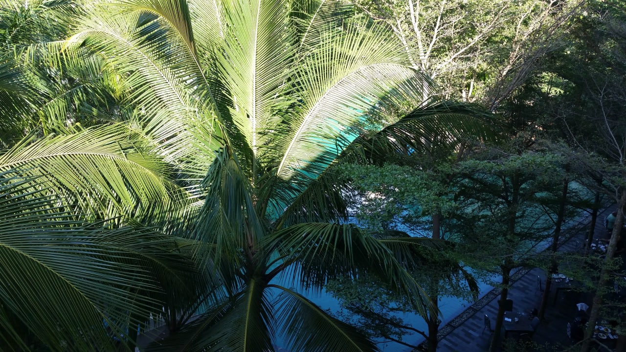 Pool Courtyard by Marriott Bali Nusa Dua