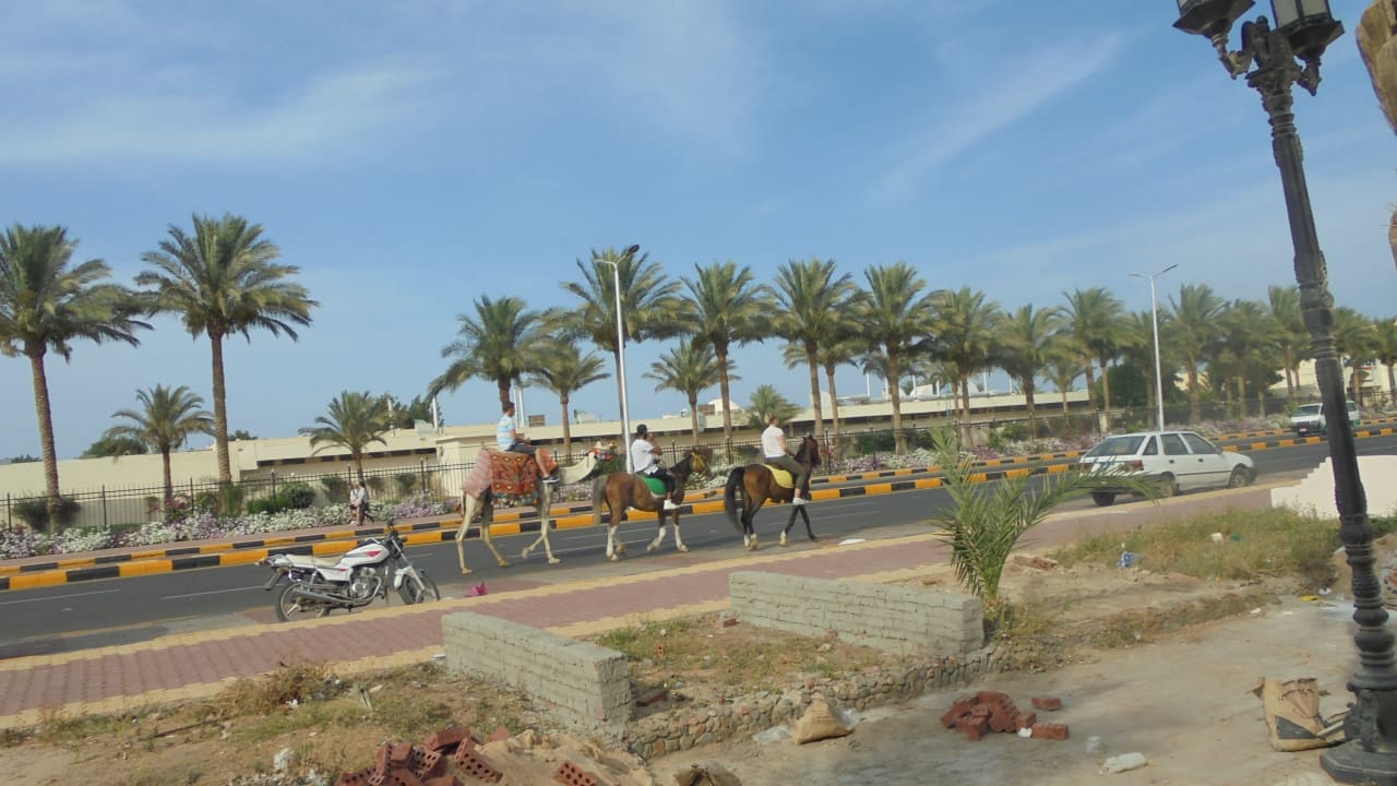 Ausblick Desert Rose