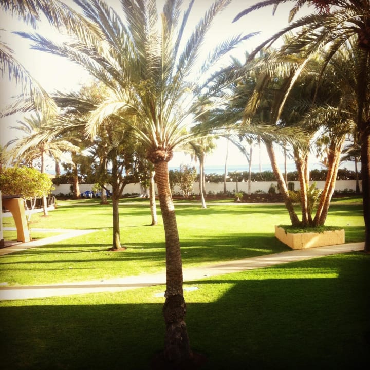 Blick vom Balkon ROBINSON JANDIA PLAYA