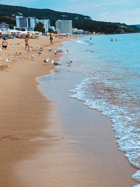 Strand GRIFID Aqua Club Bolero