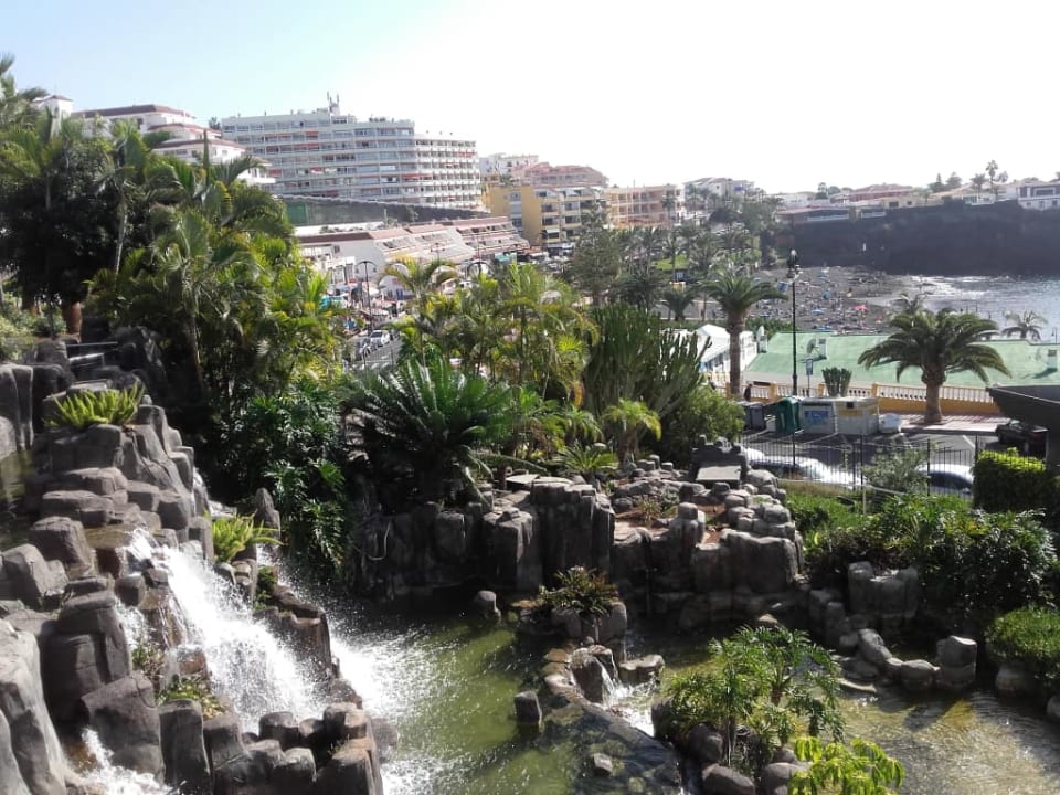 Ogród Landmar Playa La Arena