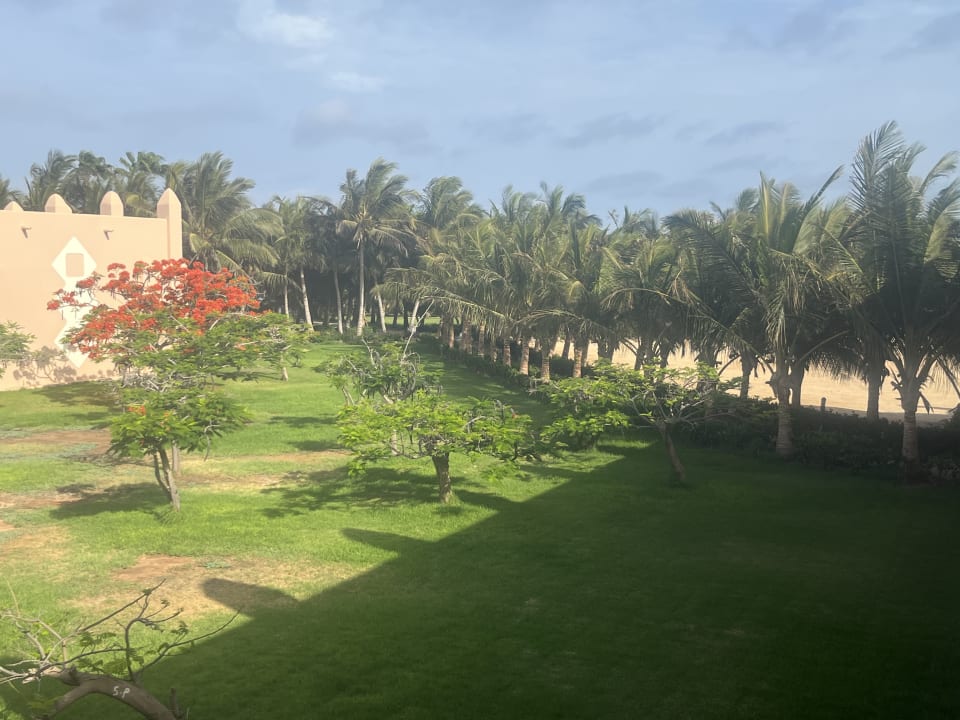 Gartenanlage Hotel Riu Cabo Verde