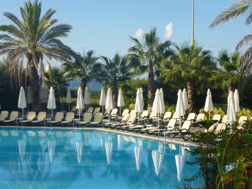 Hauptpool Alba Resort Hotel