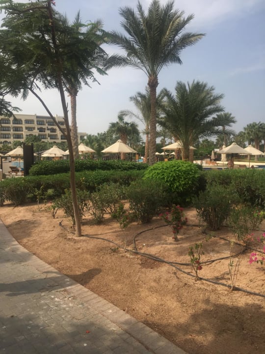 Gartenanlage Steigenberger ALDAU Beach Hotel