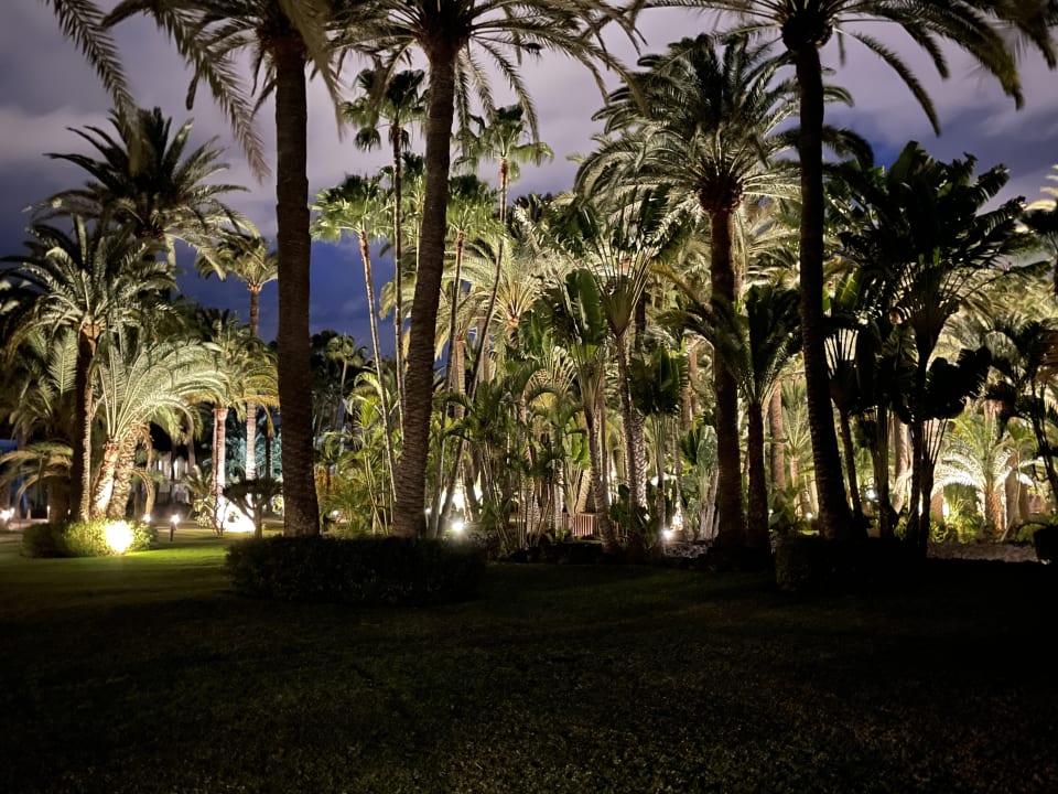 Gartenanlage Hotel Riu Palace Oasis