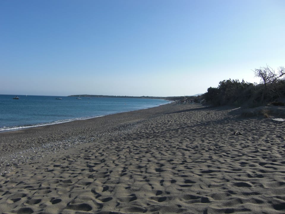 Strand Atlantica Plimmiri