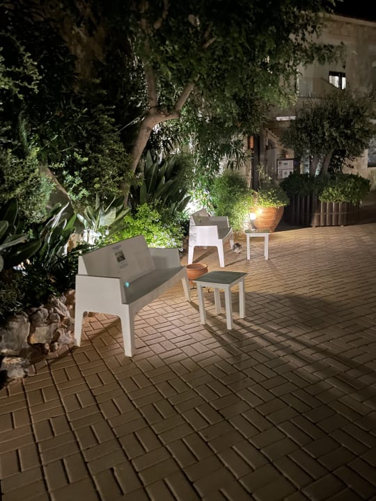 Gartenanlage Cactus Royal