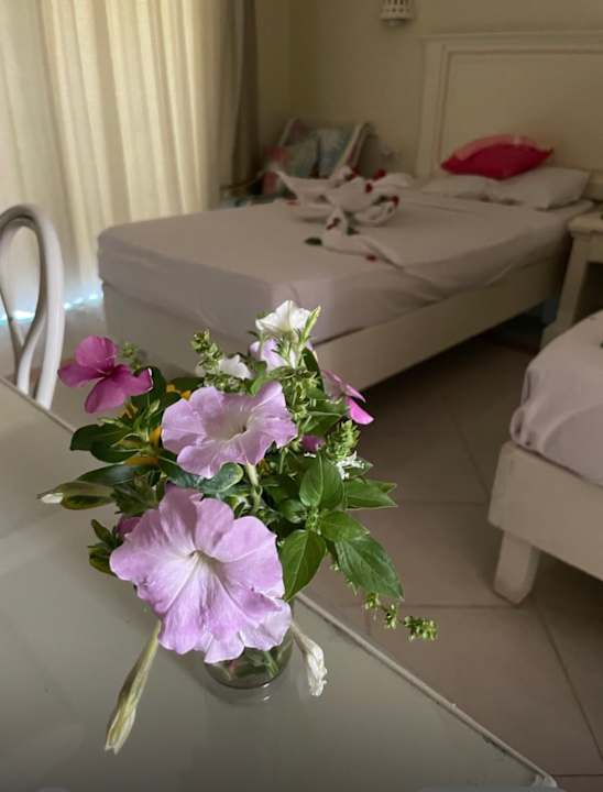 Zimmer Shams Safaga Resort