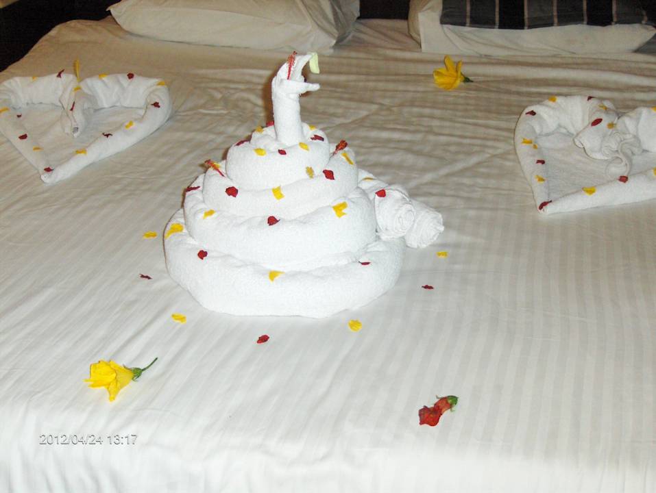 Nette Überraschung zum Geburtstag vom Roomboy Pickalbatros Alf Leila Wa Leila Resort - Neverland Hurghada