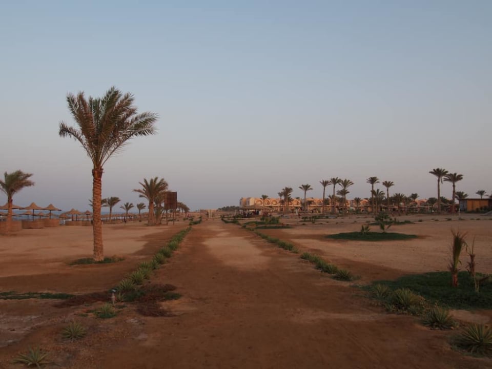 Plaża Three Corners Sea Beach Resort