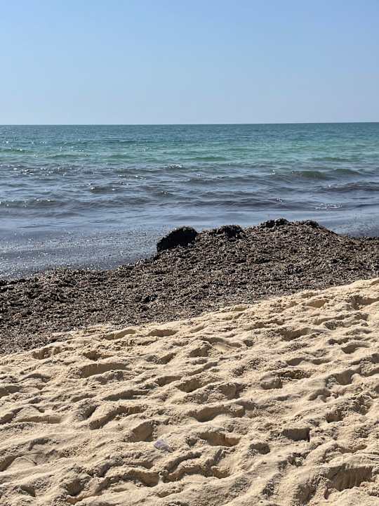 Strand Steigenberger Marhaba Thalasso Hammamet