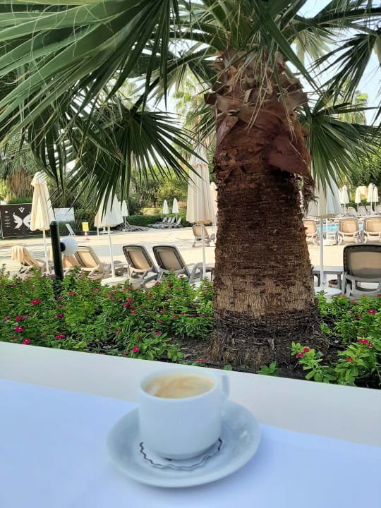 Gastro VONRESORT Golden Coast