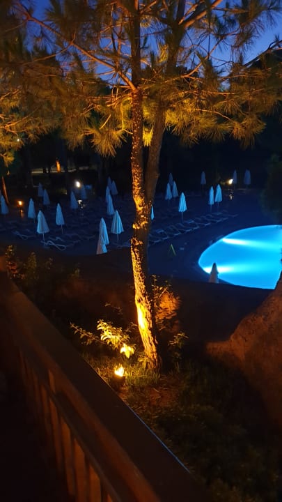Pool Blue Waters Club