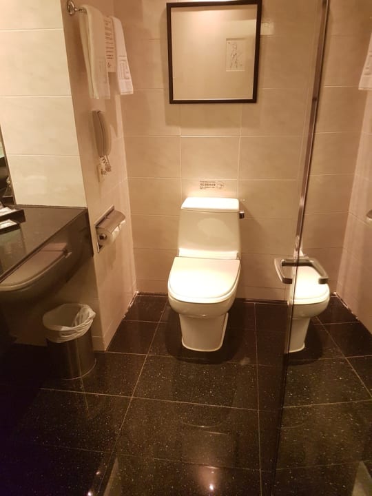 Zimmer Regal Airport Hotel