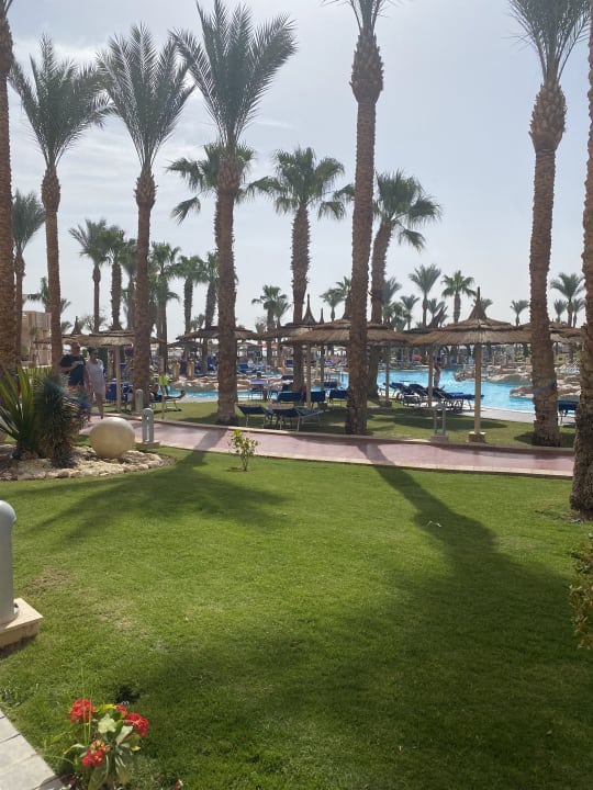 Pool Pickalbatros Palace Resort