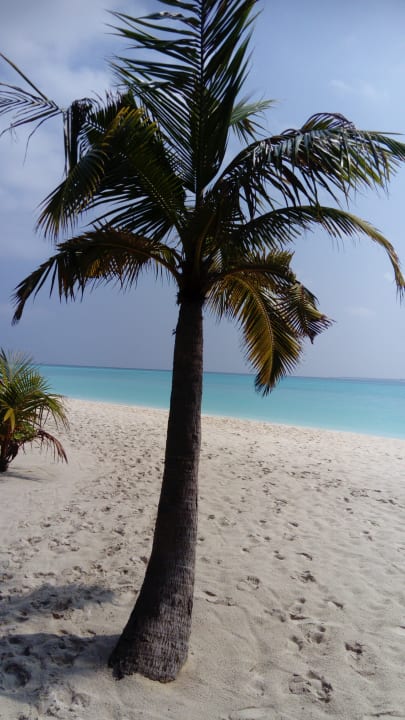 Strand Hondaafushi Island Resort
