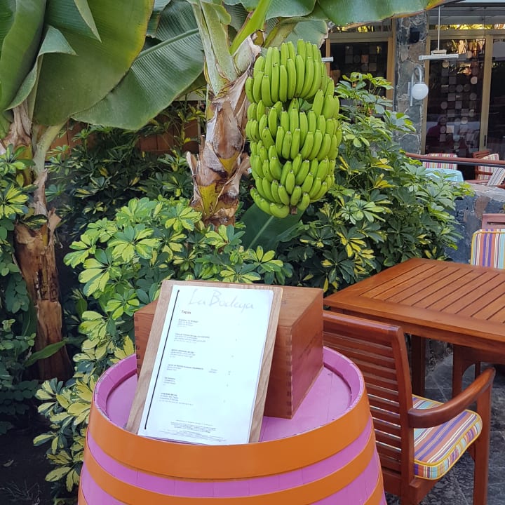 Gastro Seaside Hotel Palm Beach