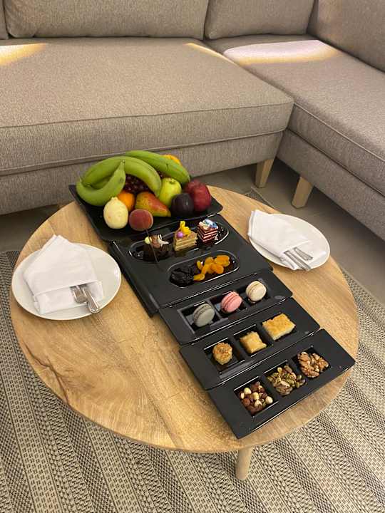 Zimmer JAZ Elite Asteria