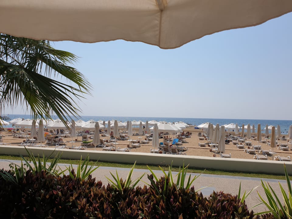 Strand PALOMA Perissia