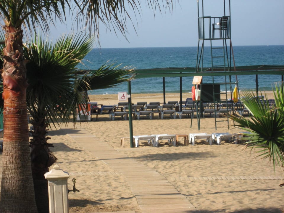 Schöner Strand mit viel Platz Royal Atlantis Beach Hotel