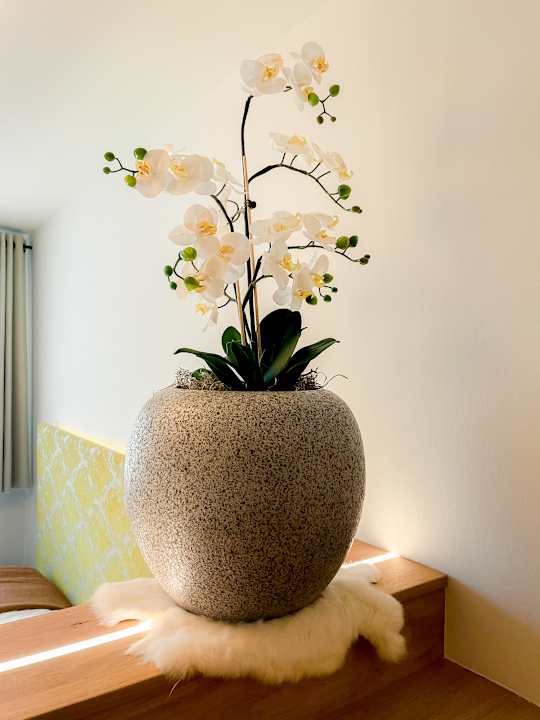 Zimmer Altstadt Hotel