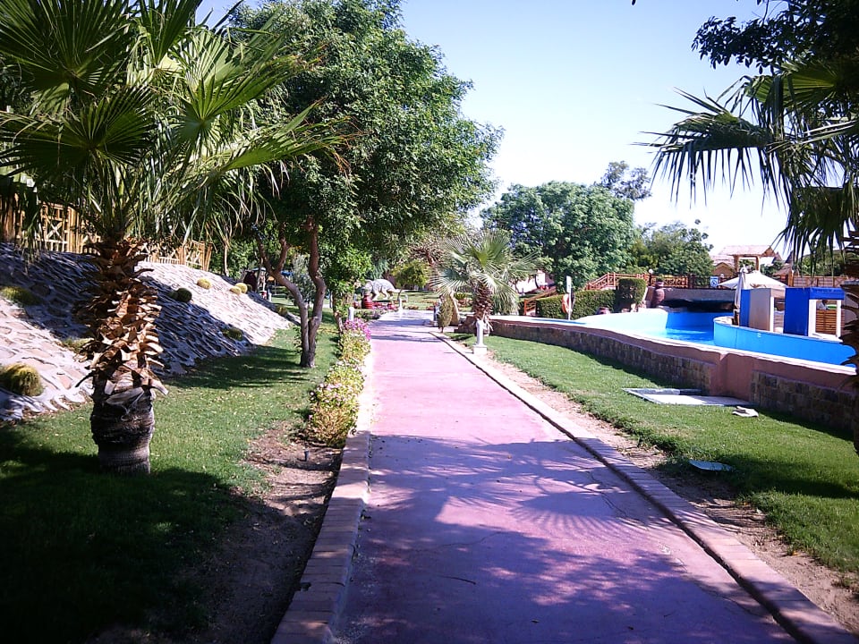 Gartenanlage Pickalbatros Jungle Aqua Park Resort - Neverland Hurghada