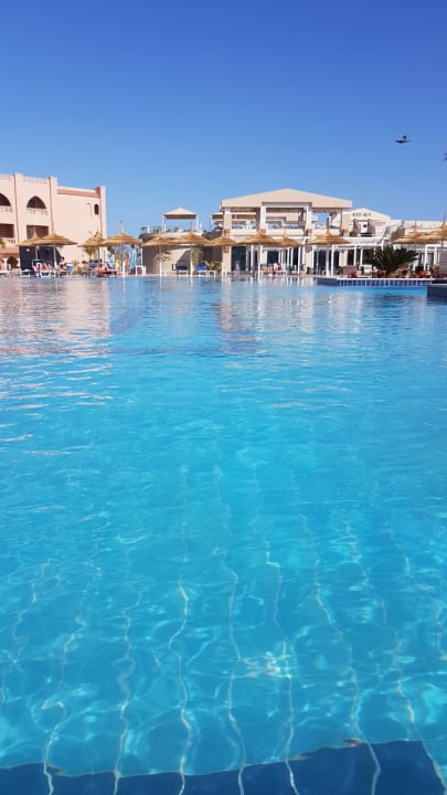 Toller Pool Pickalbatros Aqua Vista Resort - Hurghada