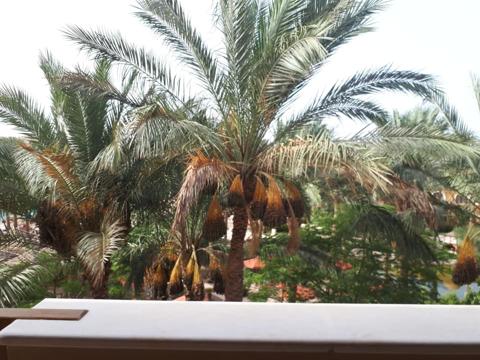 Strand Makadi Spa - Adults only