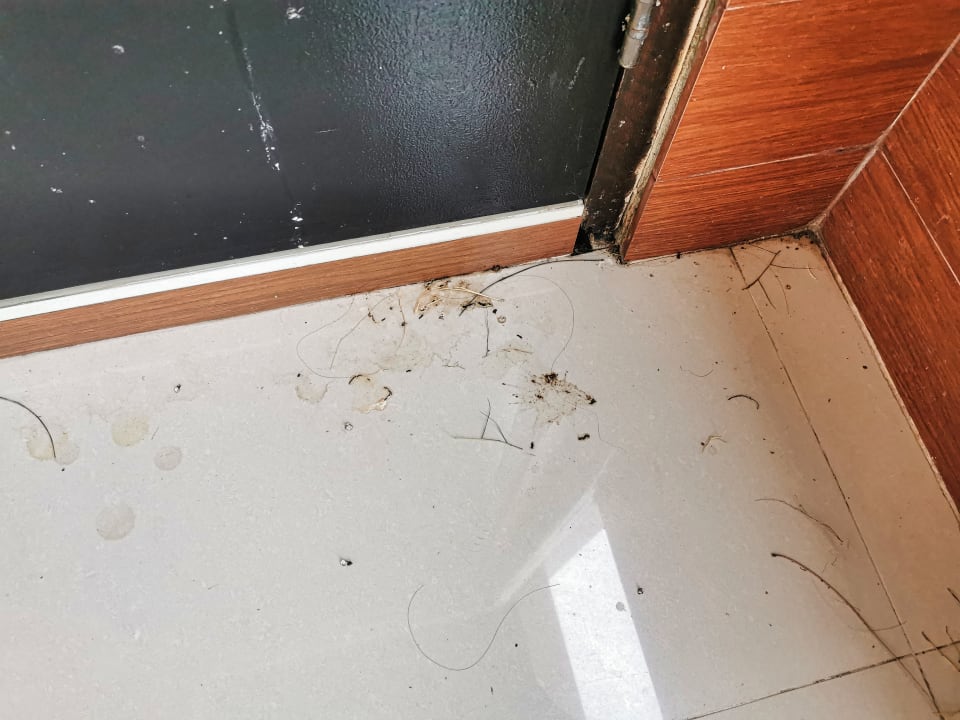 Zimmer Tribe Pattaya