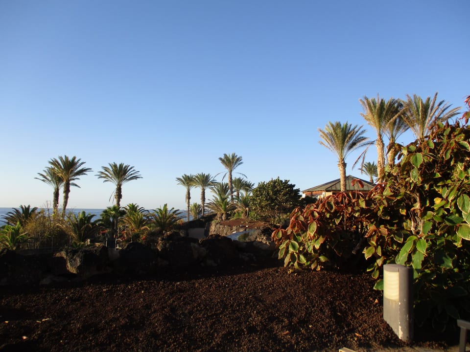 Gartenanlage R2 Rio Calma Hotel & Spa & Conference