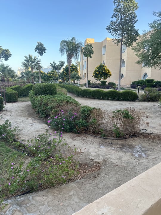 Gartenanlage Three Corners Equinox Beach Resort