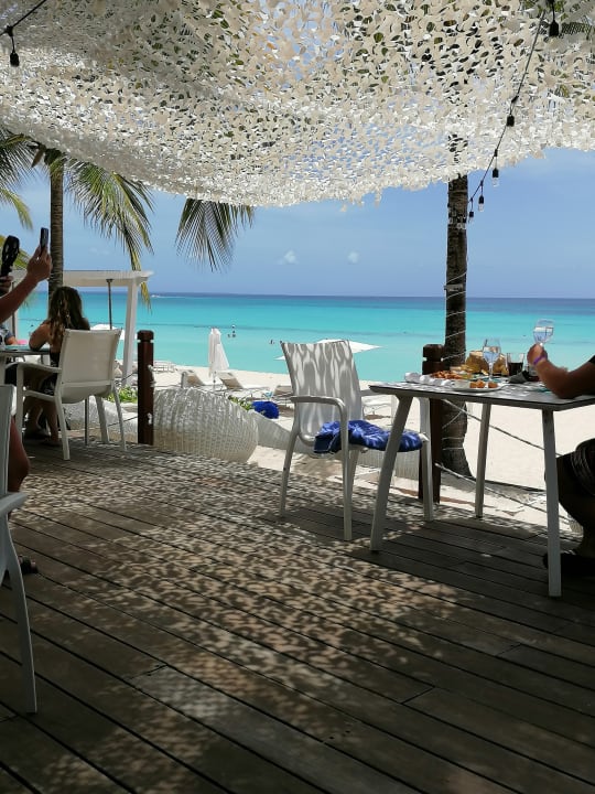 Gastro Catalonia Royal La Romana - Adults only