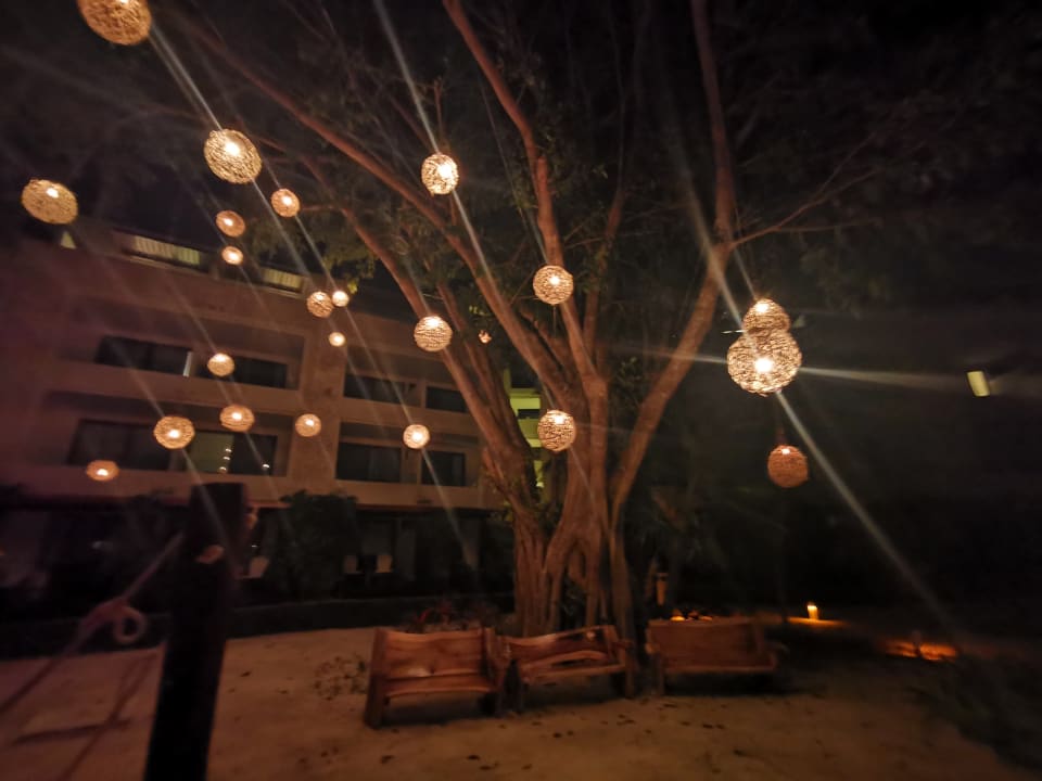 Gartenanlage Akumal Bay Beach & Wellness Resort