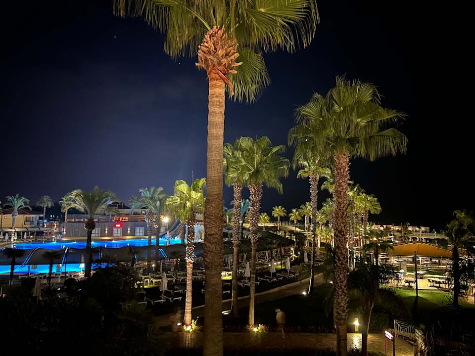 Ausblick TUI BLUE Palm Garden