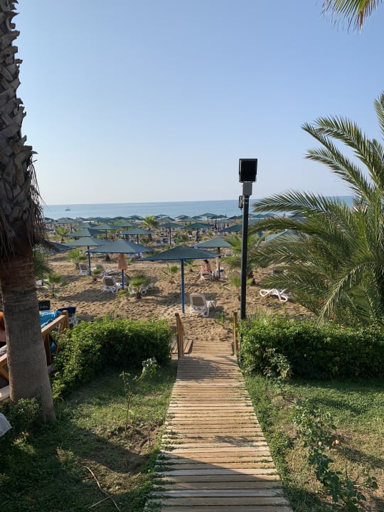 Strand Paloma Oceana