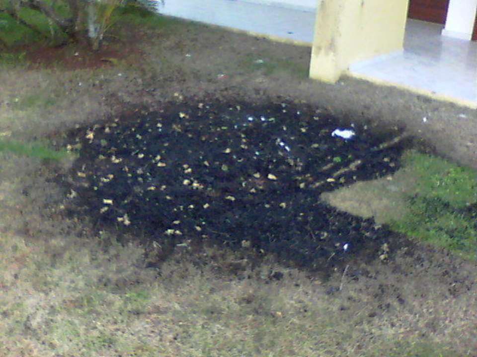 Nach der Müllverbrennung Wyndham Alltra Samana