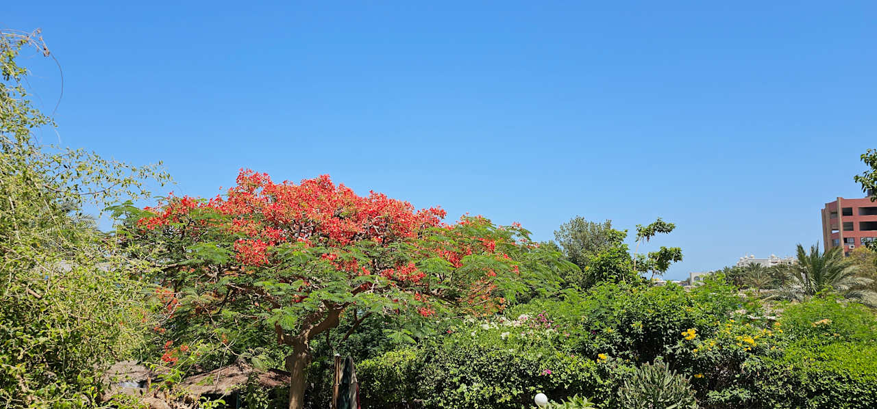 Ausblick Bella Vista Resort Hurghada