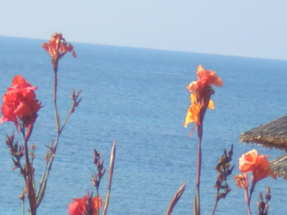 Florale Impression Istion Club & Spa