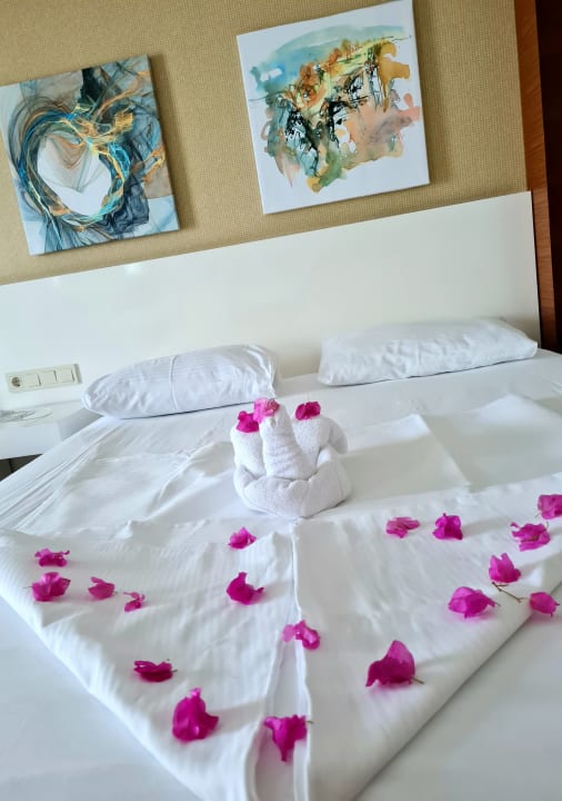 Zimmer Seaden Sea World Resort & Spa