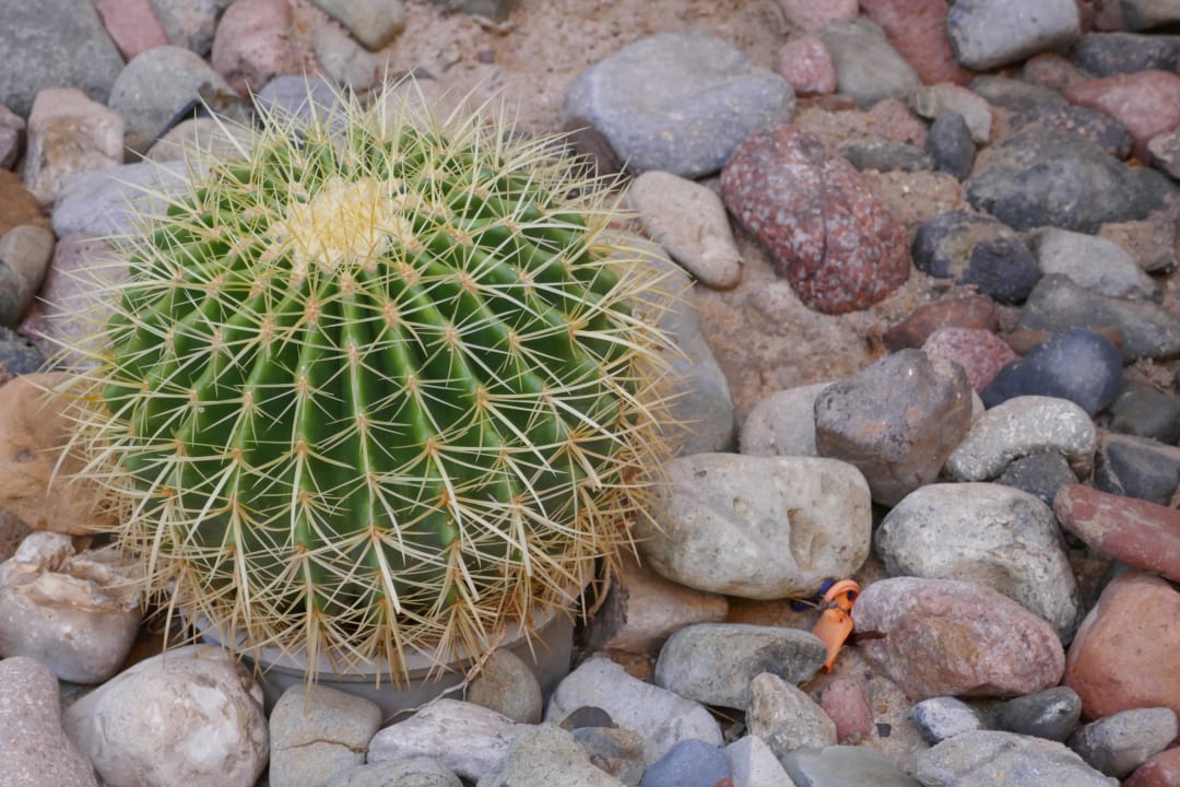 Gartenanlage Jaz Makadina