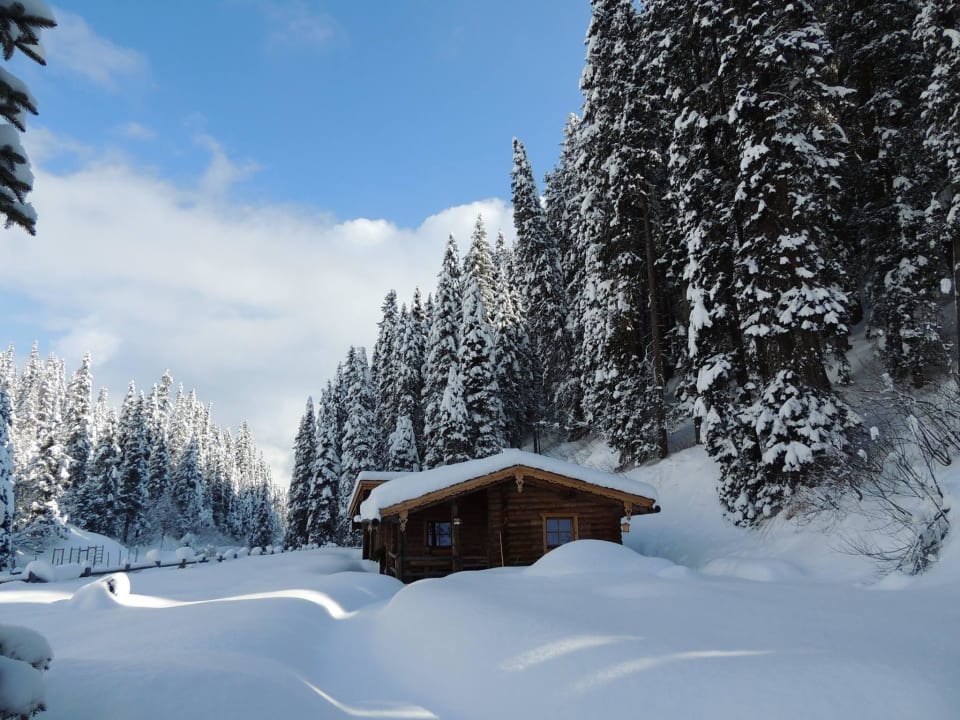 Tief verschneit Das Almnest